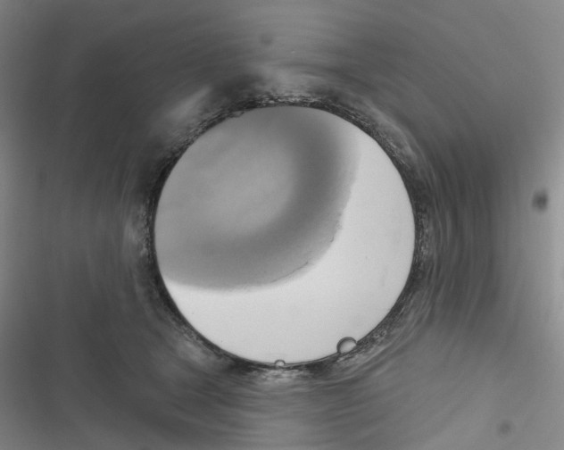 X0000116830465201001151230