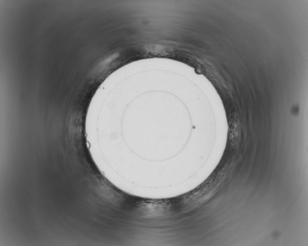 X0000116830466201001151230