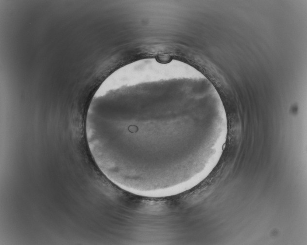 X0000116830469201001151230