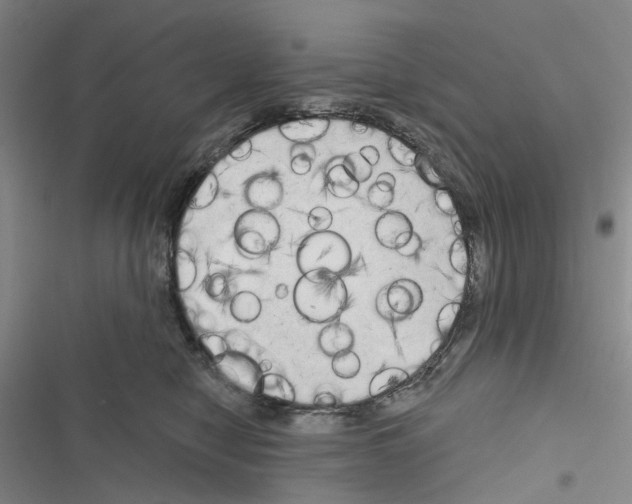 X0000116830470201001151230