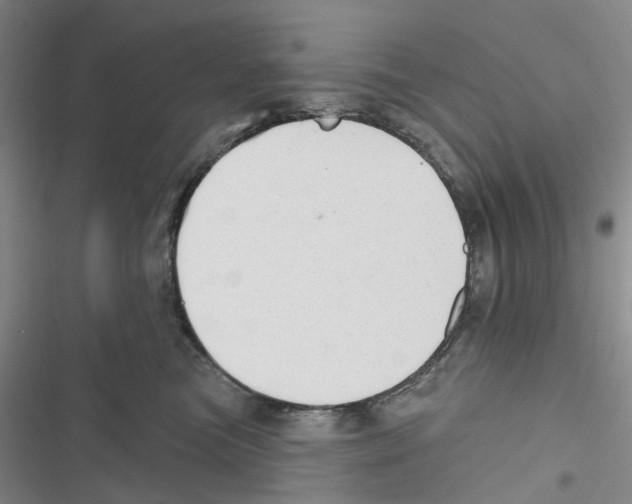 X0000116830473201001151230