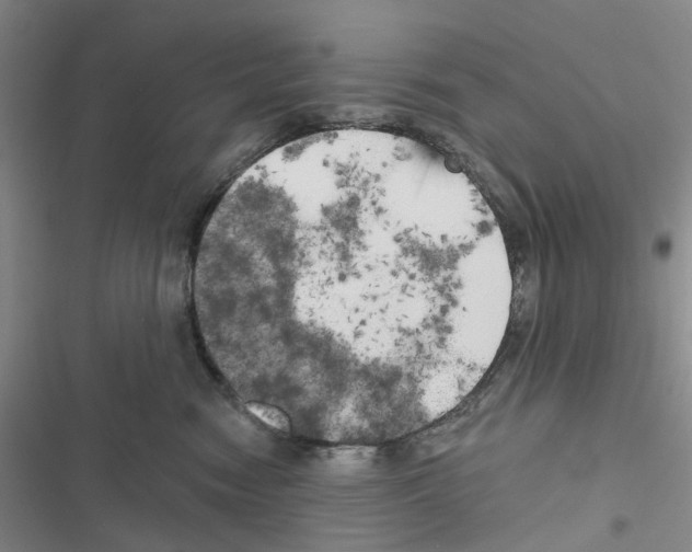 X0000116830474201001151230