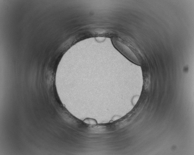 X0000116830476201001151230