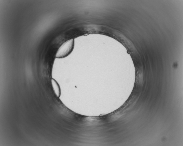 X0000116830477201001151230