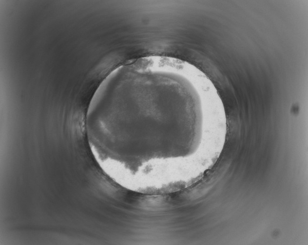 X0000116830479201001151230