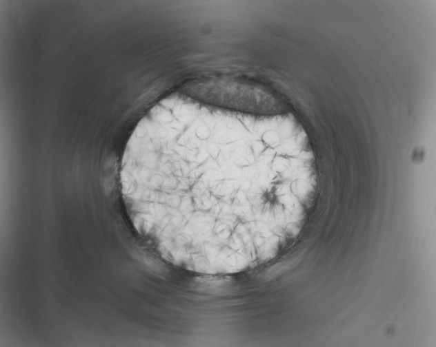 X0000116830480201001151230