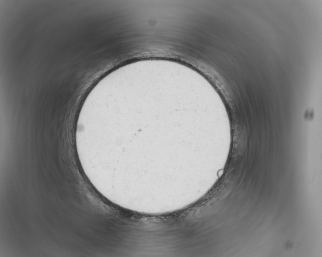 X0000116830481201001151229