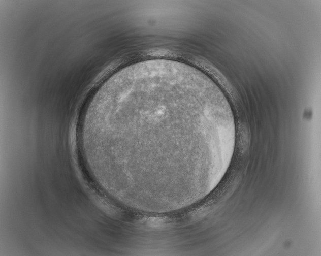 X0000116830482201001151229