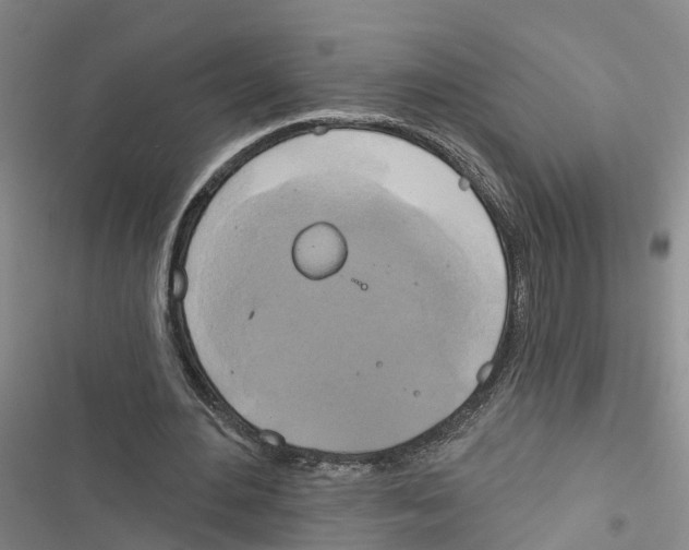 X0000116830484201001151229