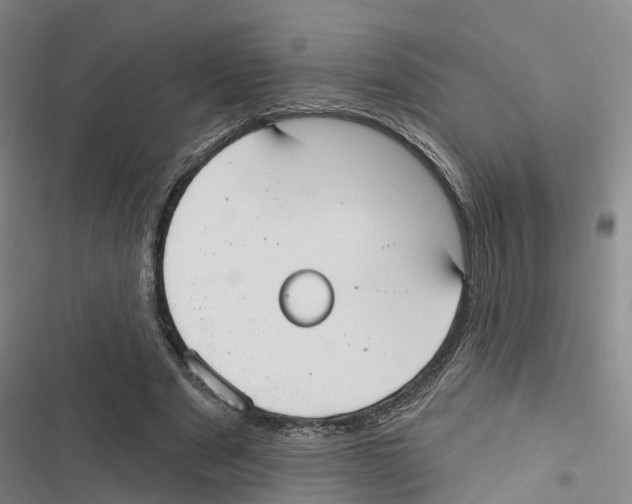 X0000116830489201001151229