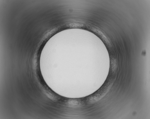 X0000116830490201001151229