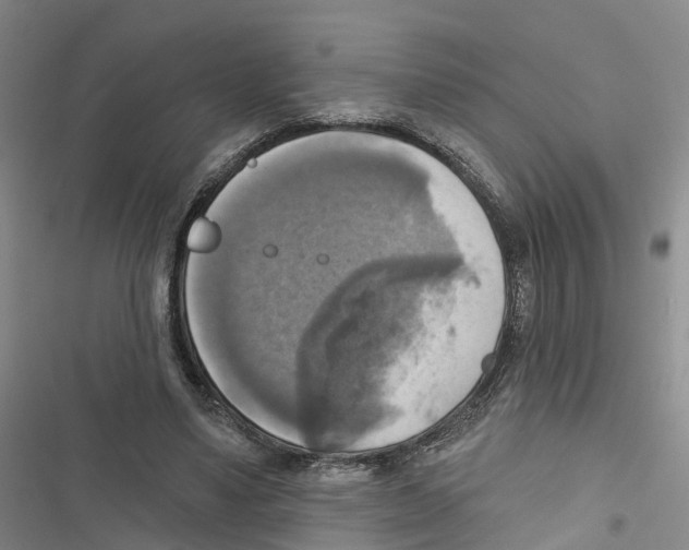 X0000116830491201001151229