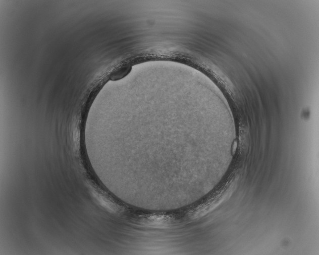 X0000116830493201001151229