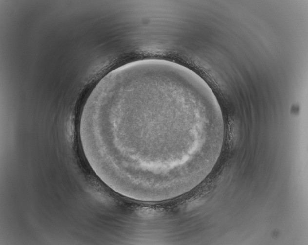 X0000116830494201001151229