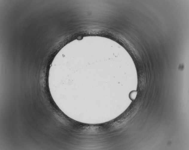 X0000116830497201001151229