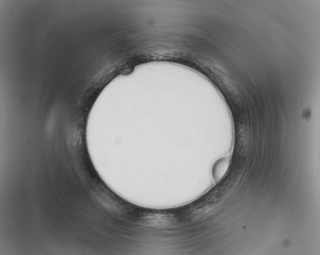 X0000116830499201001151229