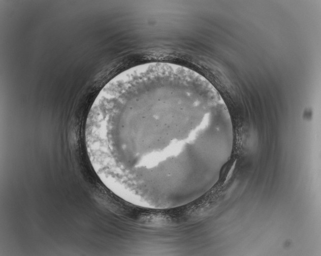 X0000116830503201001151229