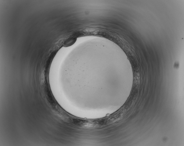 X0000116830504201001151229