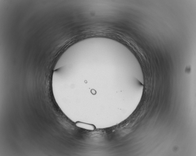 X0000116830505201001151229