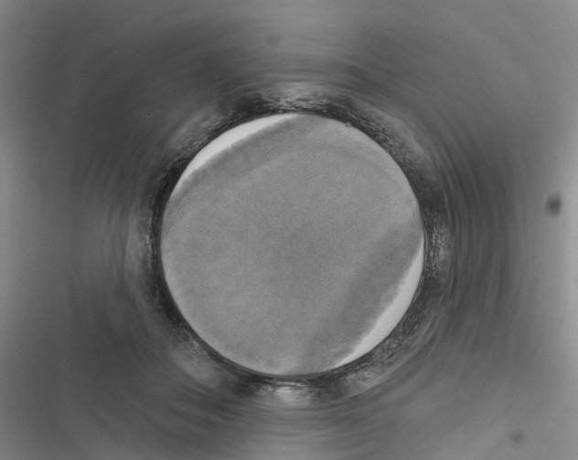 X0000116830506201001151229