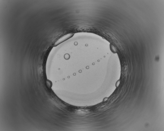 X0000116830508201001151229