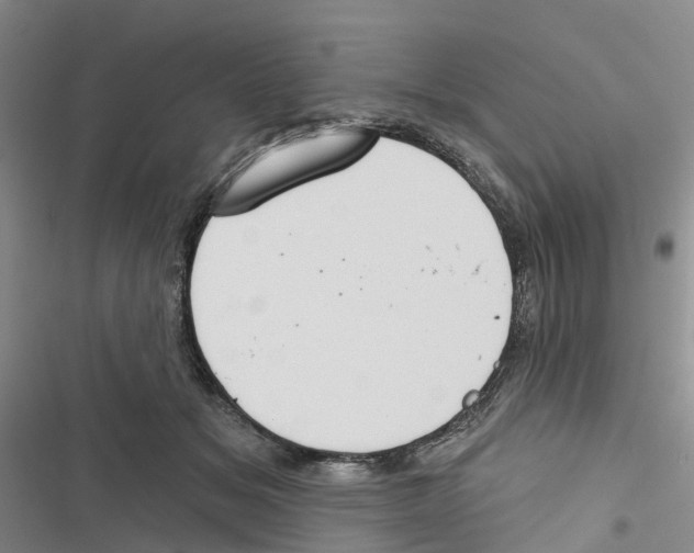 X0000116830509201001151229