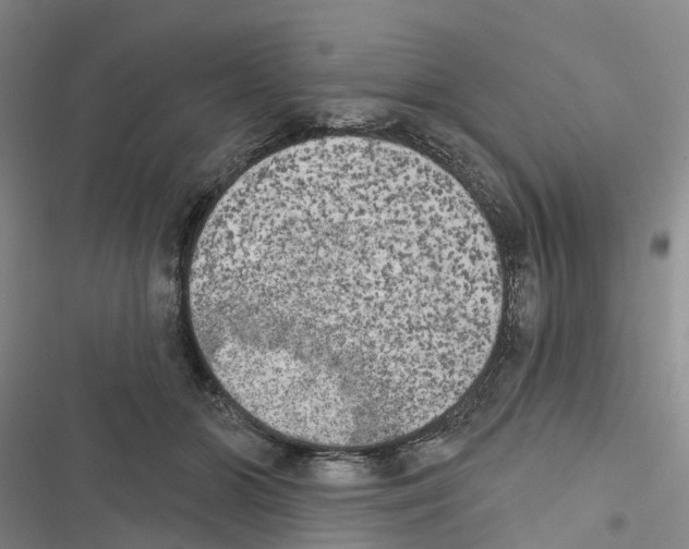 X0000116830510201001151229