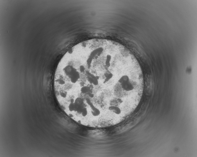 X0000116830511201001151229