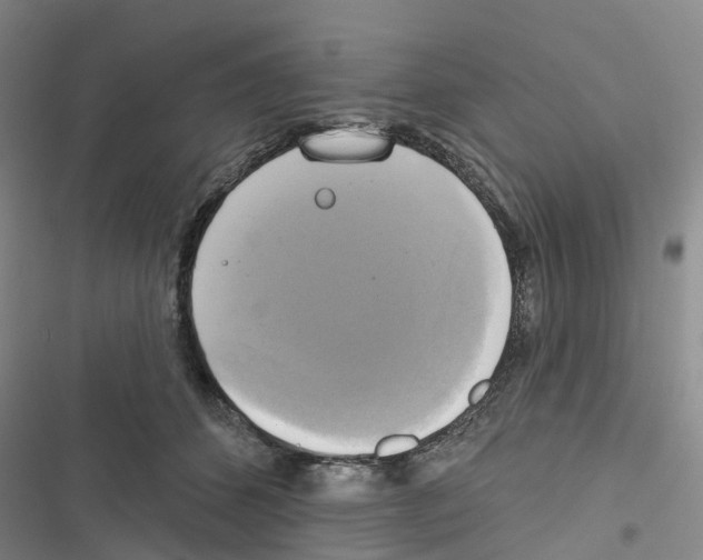 X0000116830512201001151229