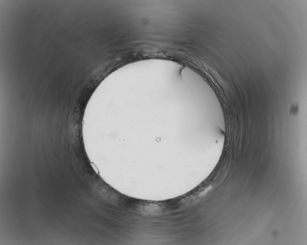 X0000116830513201001151229