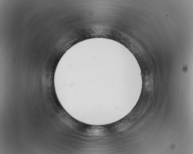 X0000116830514201001151229