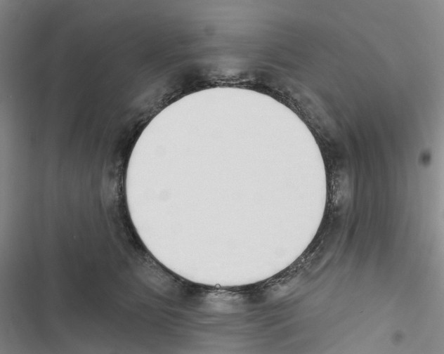 X0000116830515201001151229