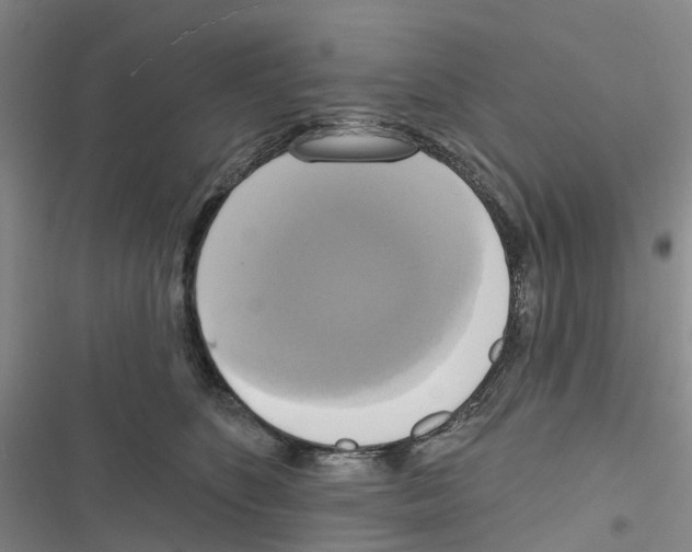 X0000116830516201001151229