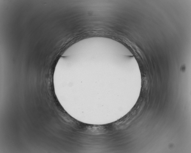 X0000116830517201001151229