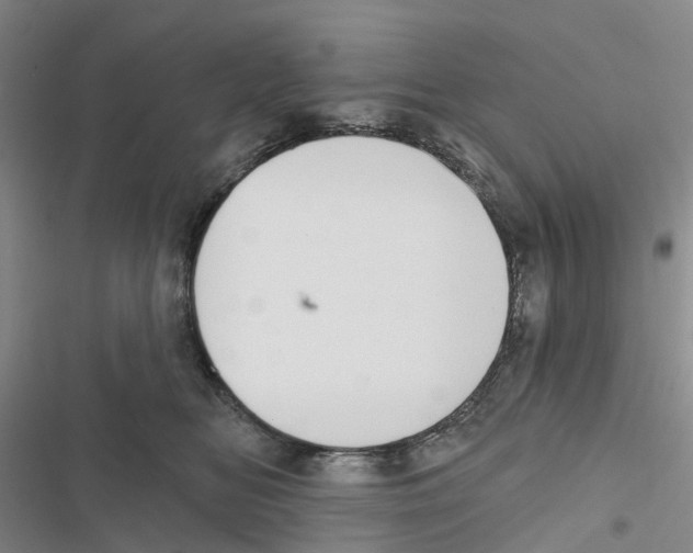 X0000116830518201001151229