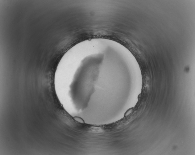 X0000116830519201001151229