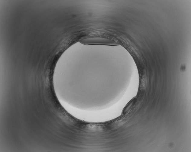 X0000116830520201001151229