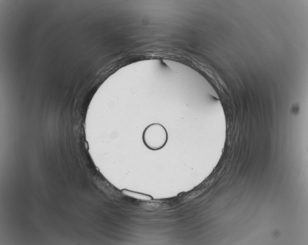 X0000116830521201001151229