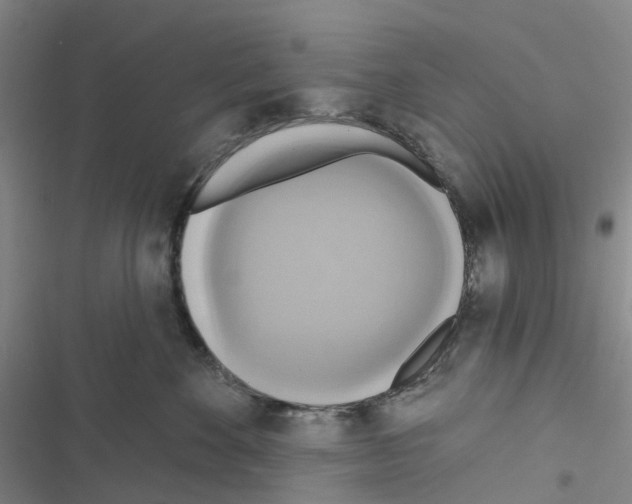 X0000116830524201001151229