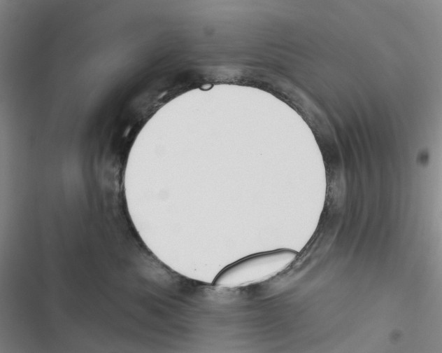 X0000116830525201001151229