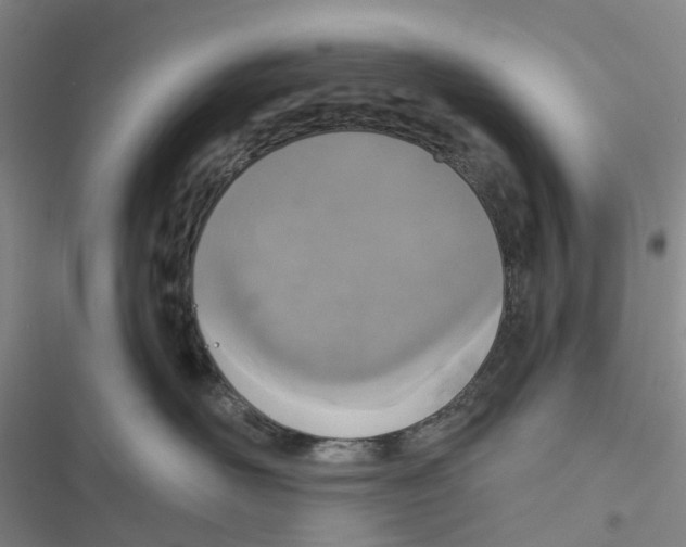 X0000116830526201001151229