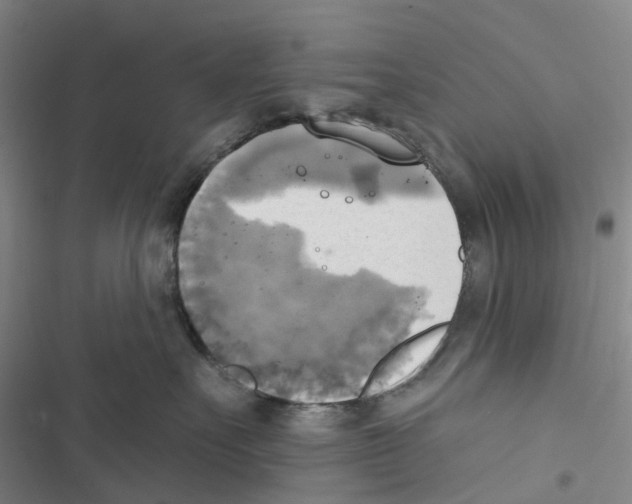 X0000116830527201001151229