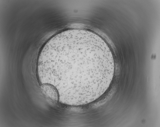 X0000116830529201001151228