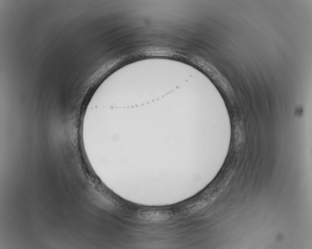 X0000116830533201001151228