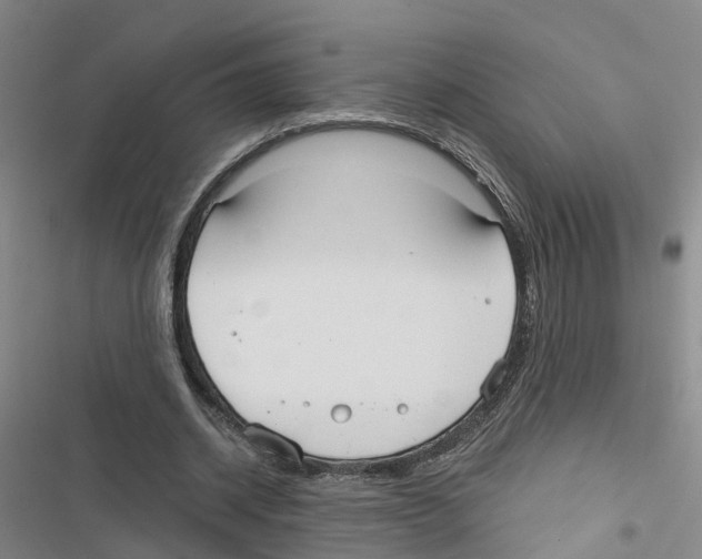 X0000116830534201001151228