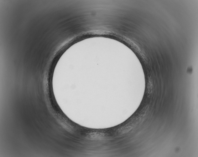 X0000116830535201001151228