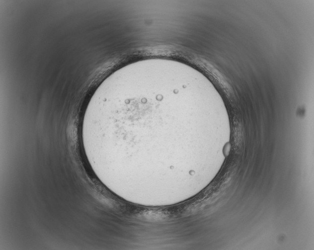 X0000116830537201001151228