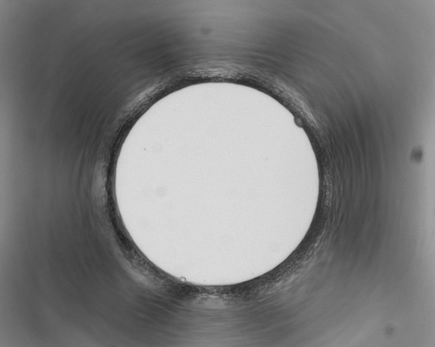 X0000116830538201001151228