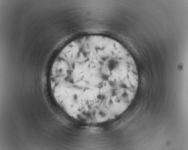 X0000116830539201001151228