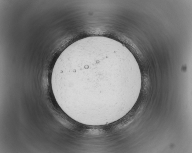 X0000116830541201001151228